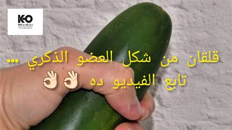 صورة للزب|الشكل الطبيعي للعضو الذكرى بالصور .